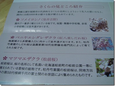 福岡の結婚式写真とビデオはブライダルビデオ.com