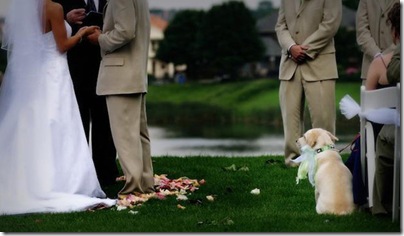 結婚式ビデオと結婚式写真は福岡のブライダルビデオ.com