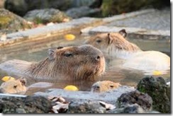 福岡の結婚式はシエルブルー