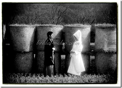 福岡の結婚式写真とビデオはブライダルビデオ.com